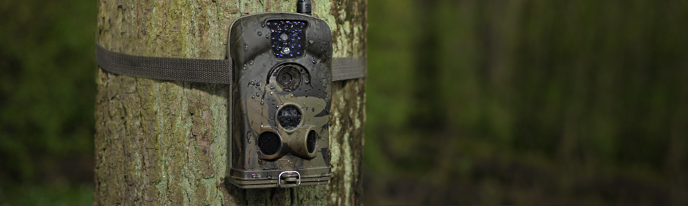 Kamery leśne - foto pułapki