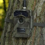 Fotopułapki, kamery leśne