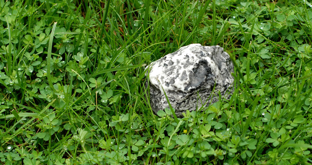 Kamień szpiegowski czy jednak prawdziwy? (fot. materiały własne)
