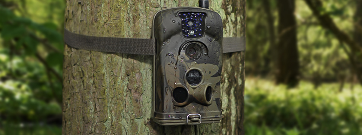 Fotopułapka kamera leśna